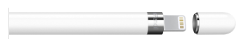  Apple Pencil with iPad 