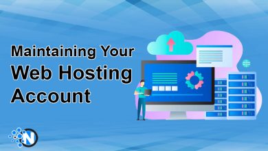 Web Hosting Account