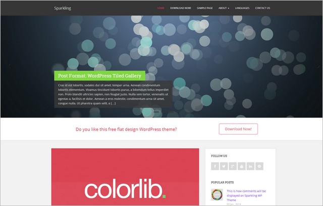 sparkling-wordPress-theme