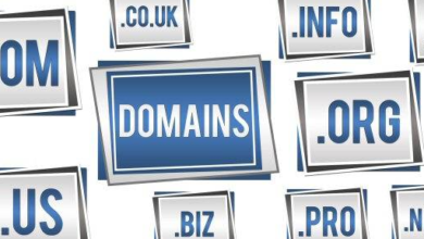 Things to Consider When Choosing a Premium Domain Name