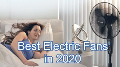 Best Electric Fans in 2020