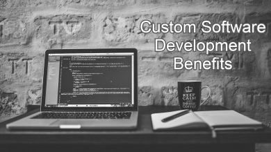 Custom Software Development