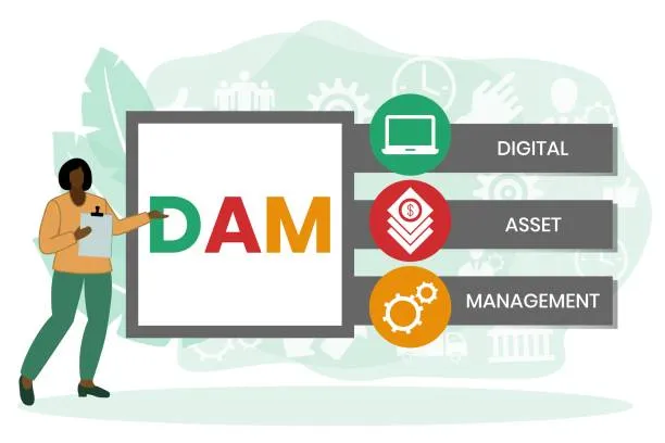 Digital Asset Management Vector