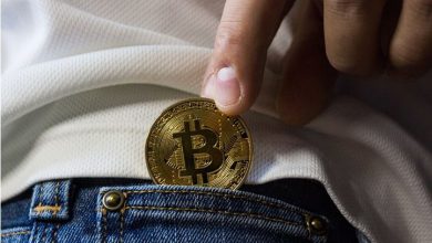 Eric Dalius Miami Business Expert Explains the Dominance of Bitcoin