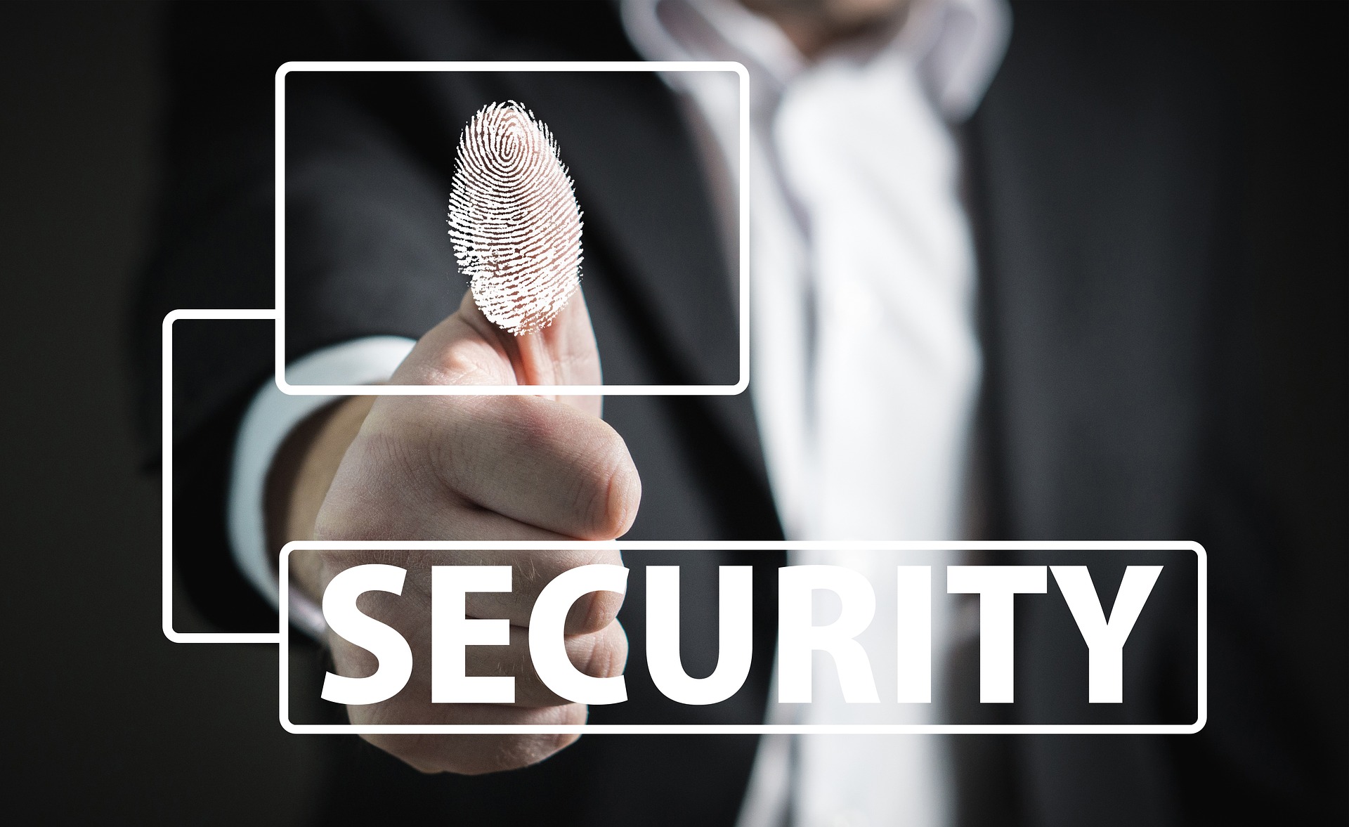 Identity Theft: Fraud Detection and Risk Assessment