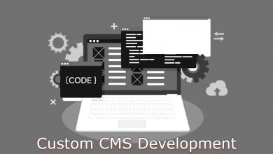 Custom CMS Development