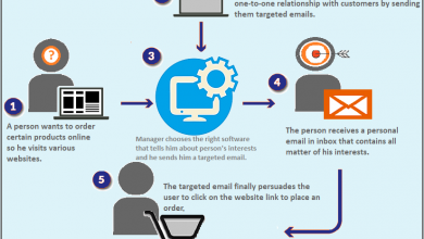 Description of email targeting process