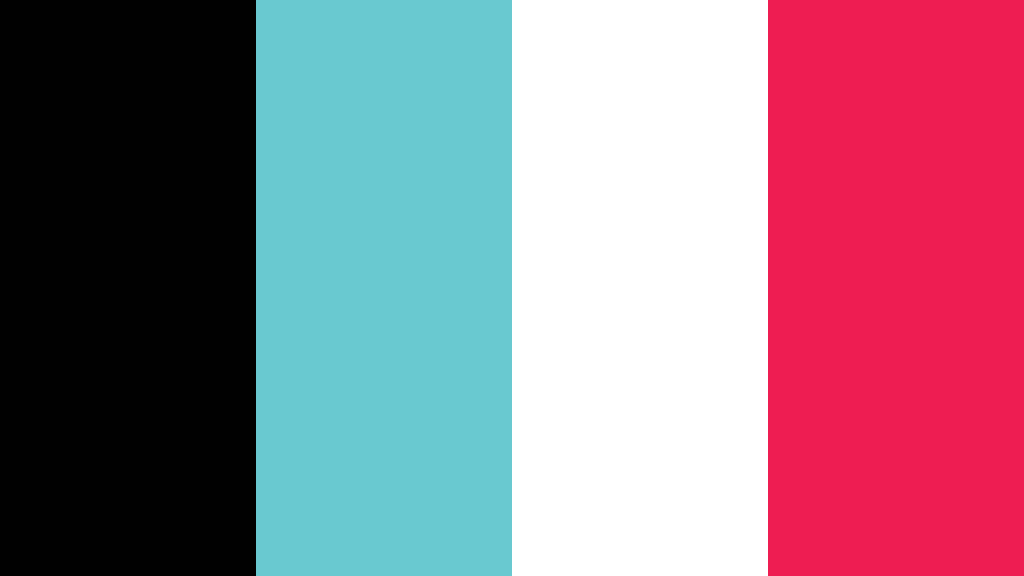 tiktok logo color