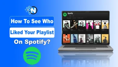 How To See Who Liked Your Playlist On Spotify