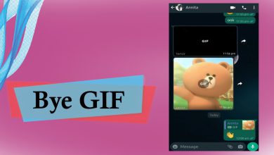 Bye Gif