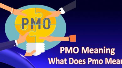 PMO meaning