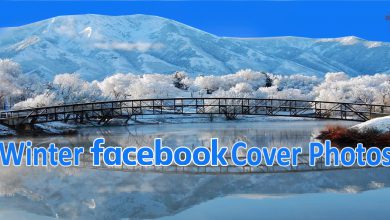 Winter Facebook Cover Photos