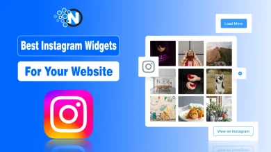 A website mockup displaying a responsive Instagram feed widget with text "Best Instagram Widgets For Your Website."