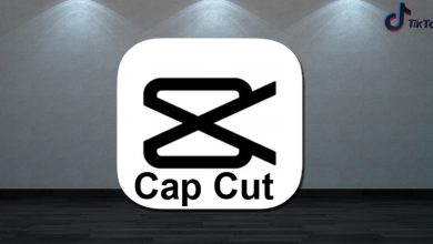 CapCut