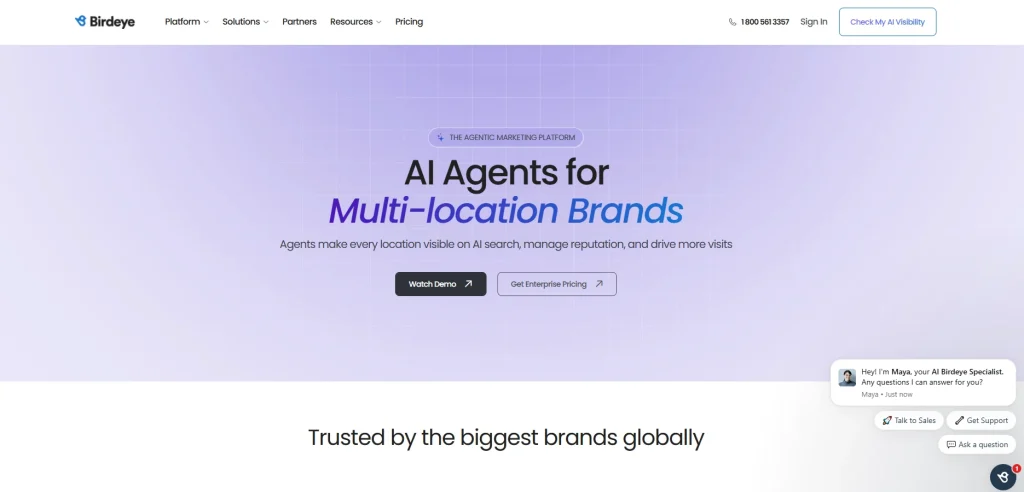 Screenshot of Birdeye homepage by NogenTech
