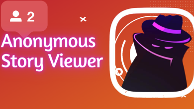 Anonymous Story Viewer