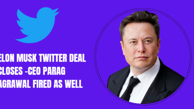 Elon Musk Owner of Twitter