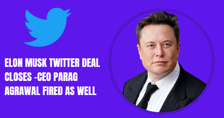 Elon Musk Owner of Twitter