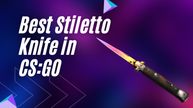 Best-Stiletto-Knife-in-CSGO
