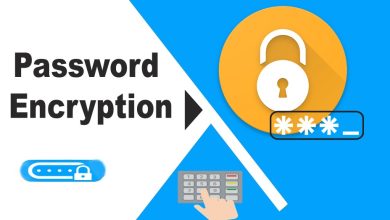 Password Encryption
