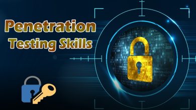 Penetration Testing Skills