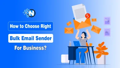 How to Choose the Right Bulk Email Sender for Your Business?