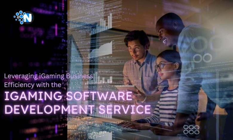 iGaming Software Development Service