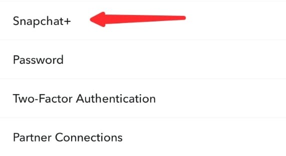 Reach Snapchat Premium Option