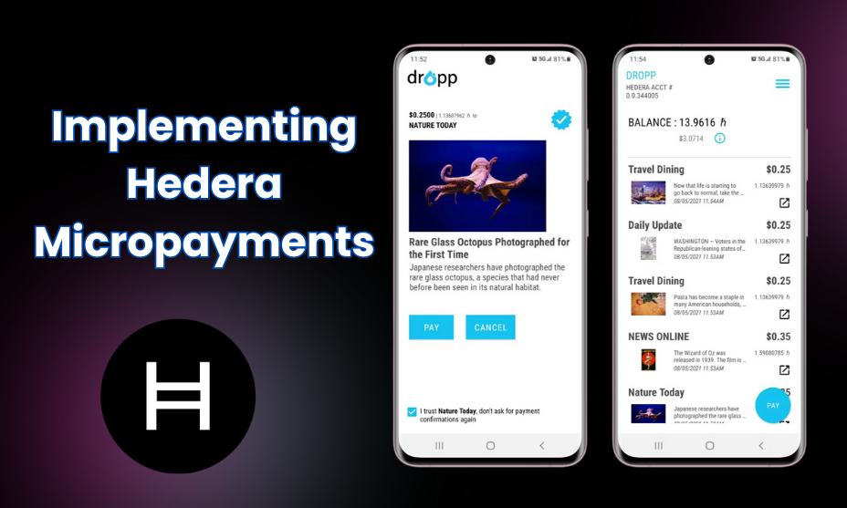 Implementing Hedera Micropayments