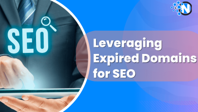 Leveraging Expired Domains for SEO