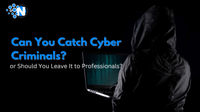 Can You Catch Cyber Criminals, or Should You Leave It to Professionals