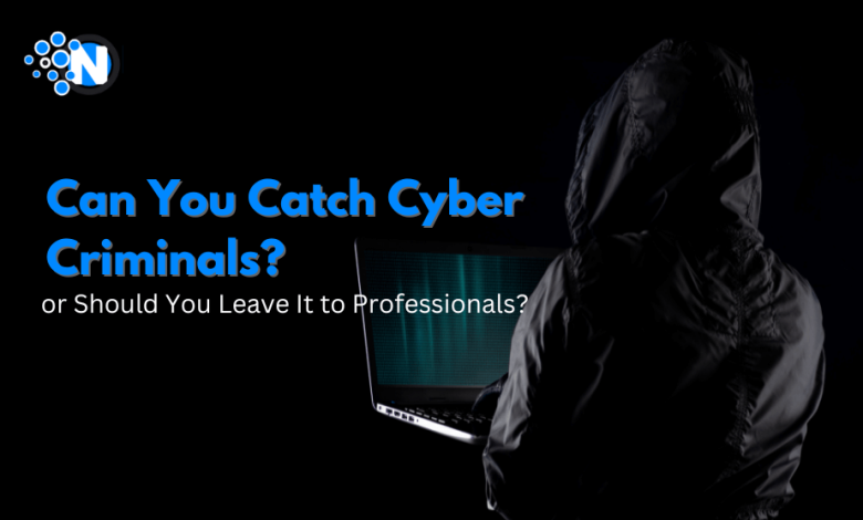 Can You Catch Cyber Criminals, or Should You Leave It to Professionals