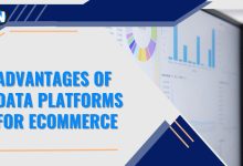 Advantages of Data Platforms for eCommerce