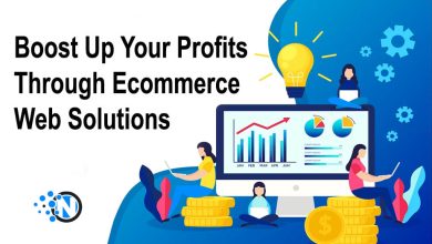 Boost Up Your Profits Through Ecommerce Web Solutions