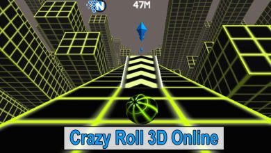 Crazy Roll 3D Online