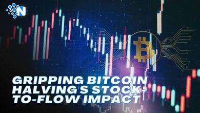 Gripping Bitcoin Halving's Stock-to-Flow Impact