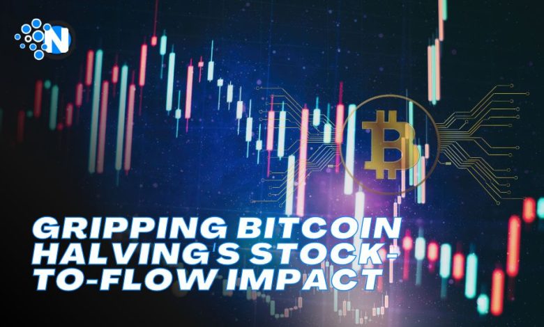Gripping Bitcoin Halving's Stock-to-Flow Impact