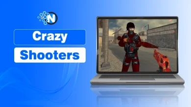Crazy Shooters