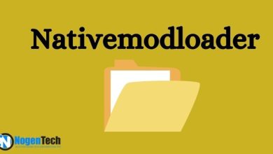 What is Nativemodloader