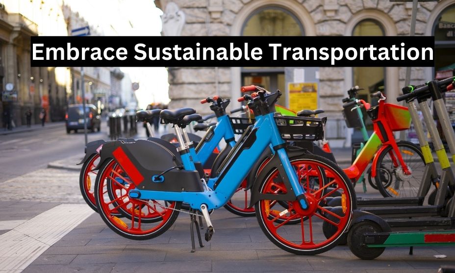 Embrace Sustainable Transportation
