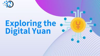 Exploring the Digital Yuan