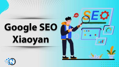 Google SEO Xiaoyan