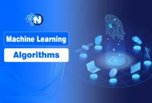 Machine Learning Algorithms