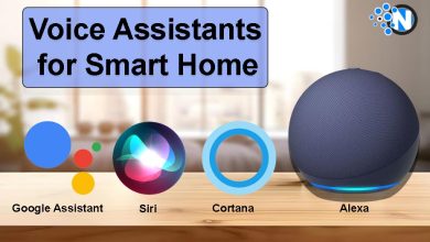 Voice Assistants for Smart Home