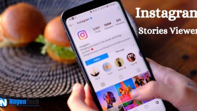 Instagram Stories Viewer
