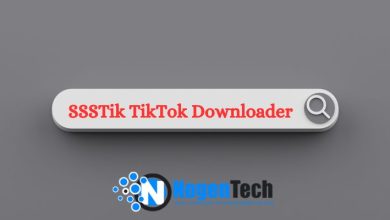 SSSTik TikTok Downloader