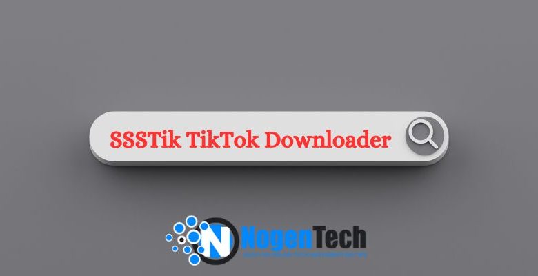 SSSTik TikTok Downloader