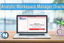 Analytic Workspace Manager Oracle