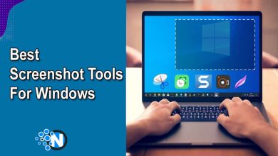 Best Screenshot Tools For Windows