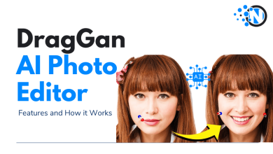 DragGan AI Photo Editor